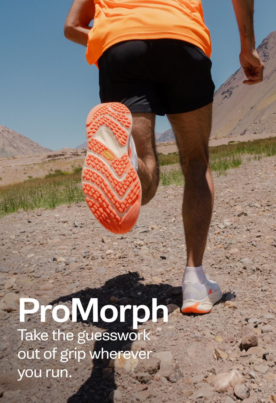 Morphlite.